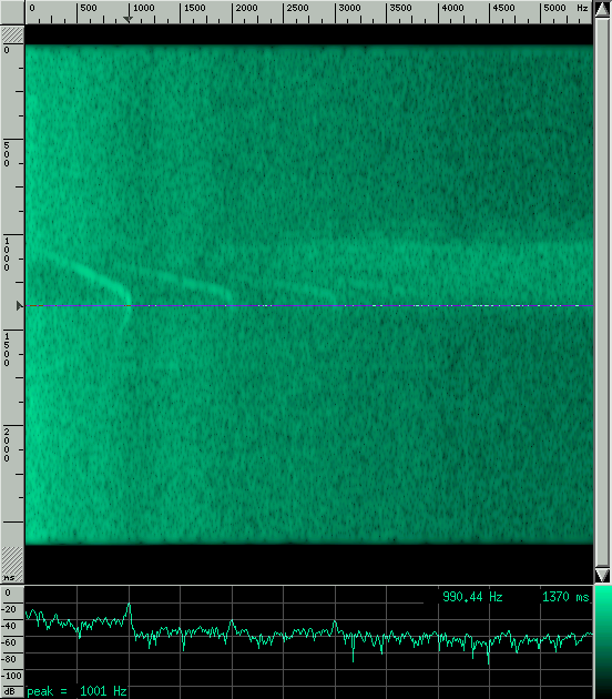 typical micro stinger spectrogram
